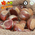 New crop bulk fresh chestnuts for sale, Shandong chestnuts,Taian chestnuts